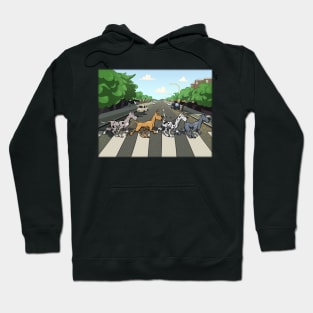 Daney Road Hoodie